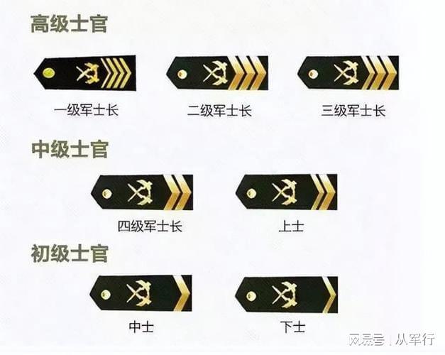官只是换了个名称而已吗？有什么区别？Bsport体育最新网址志愿兵和士(图4)
